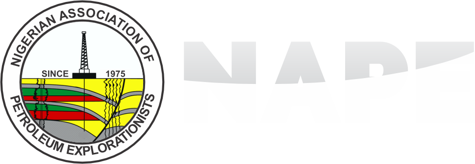 NAPE Payment Portal